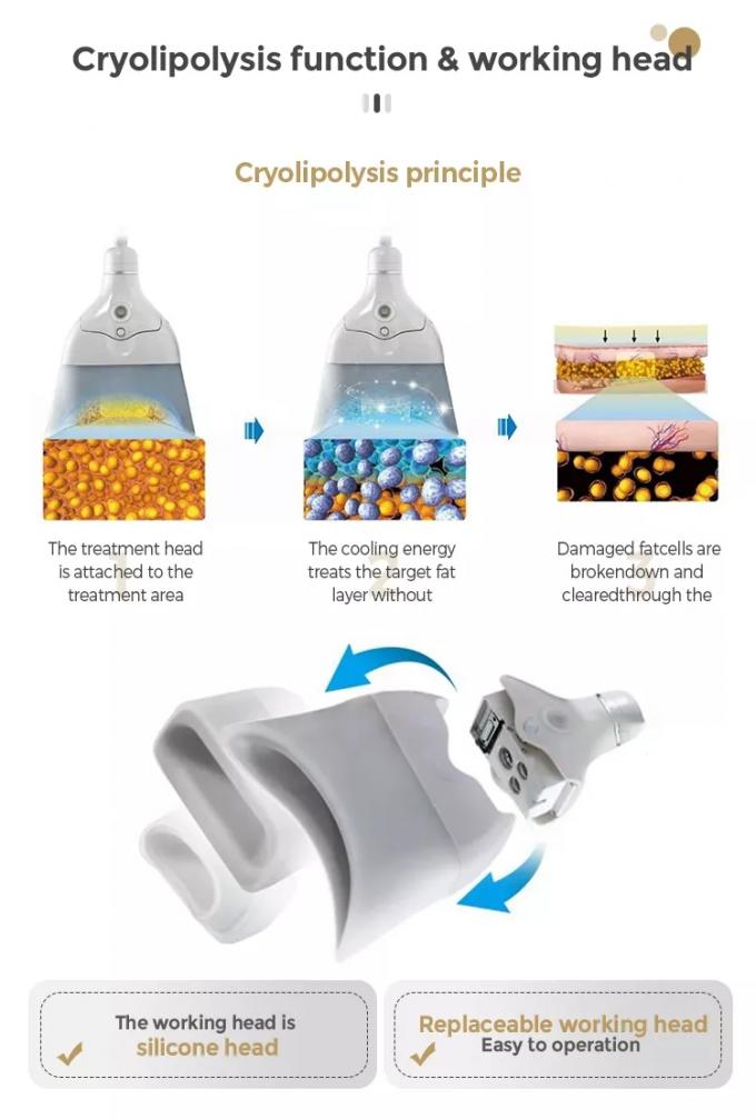 Meilleur traitement de cong&eacute;lation de graisse pour d&eacute;truire d&eacute;finitivement les cellules graisseuses
