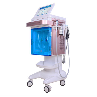 Water Dermabrasion Facial Machine /Vacuum Water Sucking Skin Deep Cleansing Facial Machine