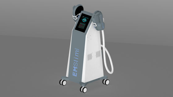 Hot Sale Vertical 3000W Ems Body Sculpting Machine EMS RF For Muscle Building Fat Reduction 4 Handles Work Together 110V 220V