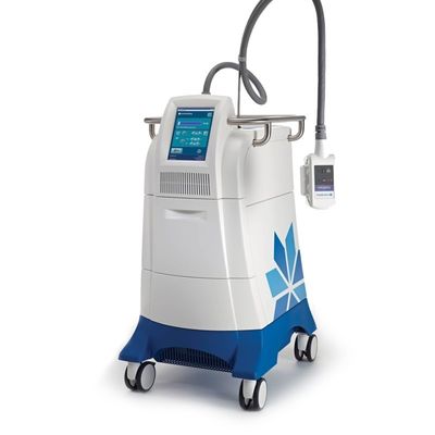 Professional Slimming Machine Cryolipolysis Coolsculpting Machine For Fat Weight Reduction 2-6 Handles for Option