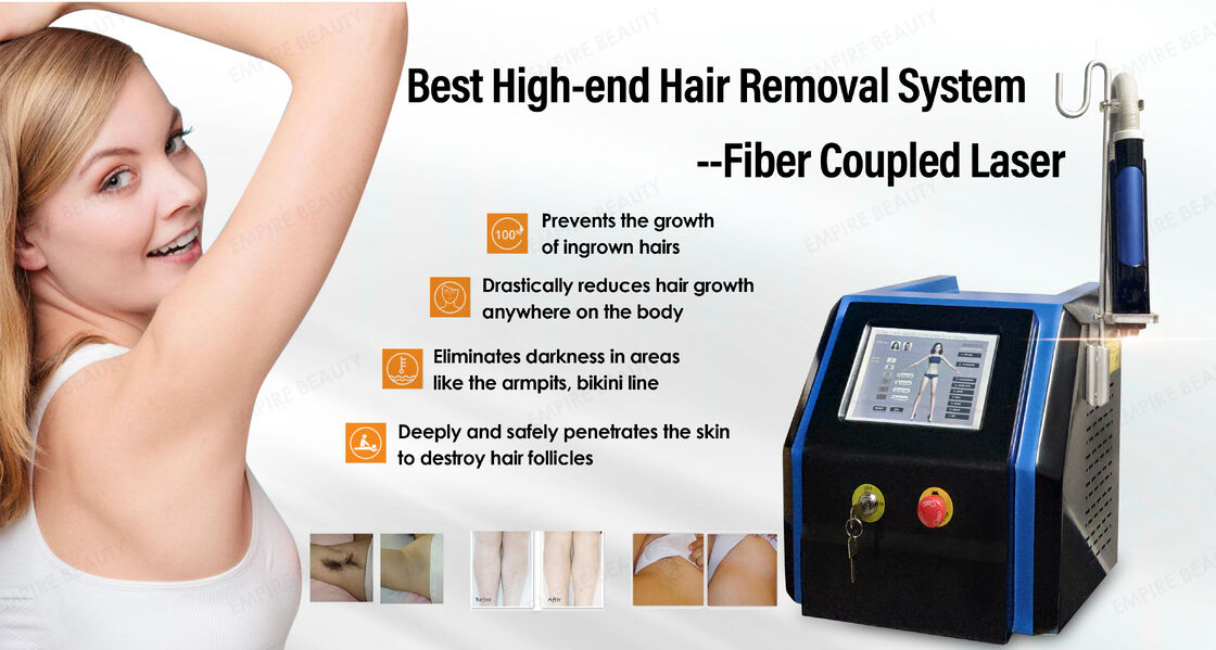 Commercial Painless Laser Hair Removal 808 Fiber Coupled Diode Laser Depilation / Laser Hair Removal